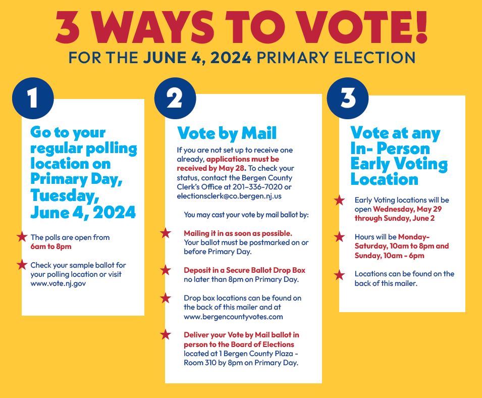 3 Ways to Vote